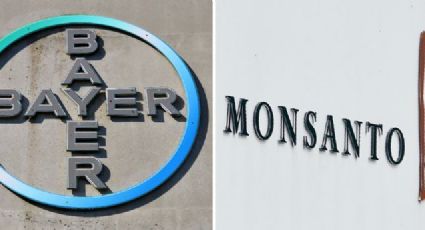 Condiciona Cofece fusión entre Monsanto y Bayer