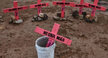 En Colima no se acredita el feminicidio: OCNF
