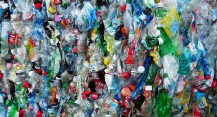 Se compran un millón de botellas de plástico cada minuto en el mundo