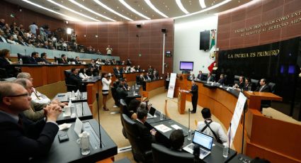 IBD propone incrementar medidas de transparencia en el Poder Legislativo 