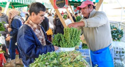 Séptima edición del Mercado de Trueque será en Bosque de Tlalpan