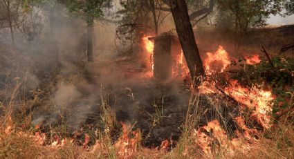 Incendio 'Carr' permanece fuera de control y avanza en California (VIDEO)