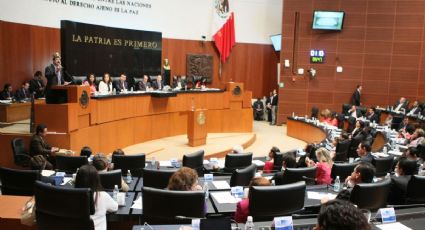 Legisladores anuncian reincorporación a actividades