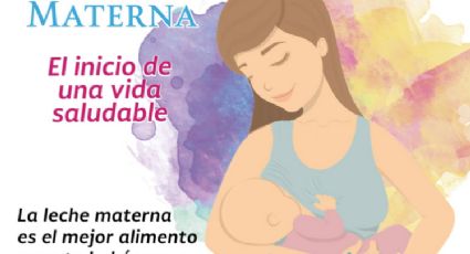 Demandan al futuro gobierno impulsar la lactancia materna