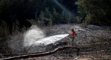 Controlan incendio forestal del Algarve en Portugal (FOTOS)