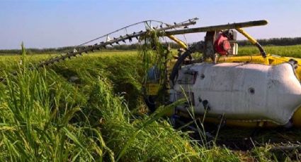 Se desploma helicóptero en comunidad de Oaxaca