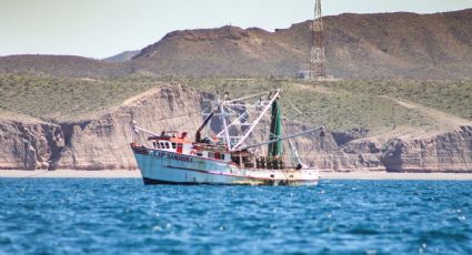 Prohibir pesca en Golfo de California dejaría sin empleo a 800 mil personas: Canainpes