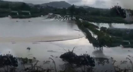 Viviendas dañadas por tromba en Los Reyes, Michoacán (VIDEO) 