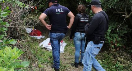 Indicios para identificar ocho de los encontrados en fosas de Veracruz: Fiscalía 