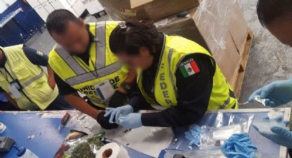 Policía Federal asegura cargamento de drogas procedentes de África en AICM 