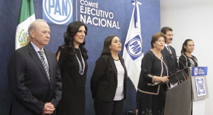 PAN analiza ampliar plazo de recolección de firmas para aspirantes a dirigencia nacional