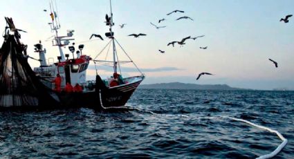 Activa Sagarpa seguros agropecuarios y pesqueros en Sinaloa y Sonora