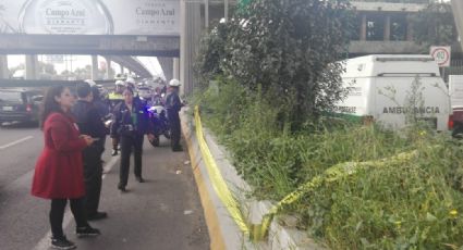 Descubren planta de marihuana y provocan caos vial en Periférico (FOTOS)