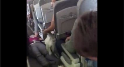 Hospitalizan a 12 personas tras turbulencias durante vuelo Guadalajara-Tijuana (VIDEO)