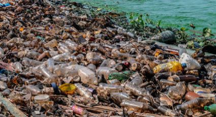 Buscan ponerle fin a la Isla de basura del Pacífico