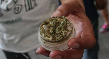 Organizaciones se pronuncian por despenalizar uso de marihuana