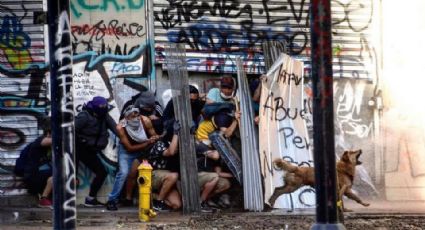 “Rucio Capucha”, el perro símbolo de las protestas en Chile