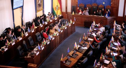 Senado de Bolivia aprueba proyecto ley para elecciones