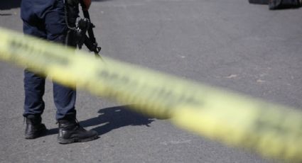México debería aceptar ayuda de EEUU para atacar crimen organizado: Rubin