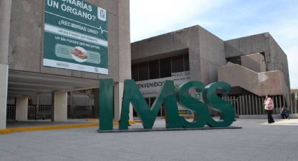 IMSS en Querétaro reporta 181 trabajadoras domésticas afiliadas