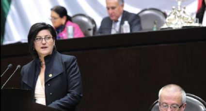 Notifica PES sobre cambio de coordinador; designa a la diputada Olga Elizondo