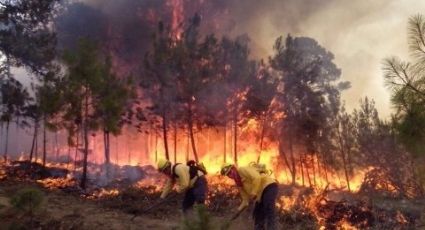 Atienden tres incendios forestales activos en Banderilla, Veracruz