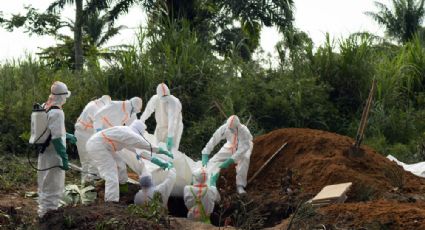 OMS declara emergencia de salud pública mundial por brote de ébolas