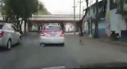 Captan en video el abandono de un perro en Azcapotzalco