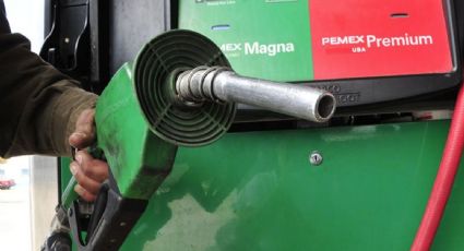 Cofece sanciona empresas por pactar precios de gasolinas