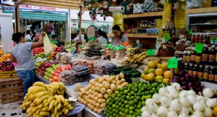 Confía embajador de UE que México incremente venta de alimentos con TLCUEM