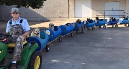Señor construye tren para pasear perros callejeros