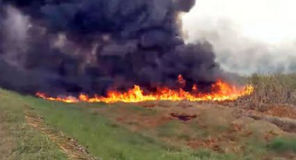 Controlan incendio de pastizales en Nacajuca, Tabasco