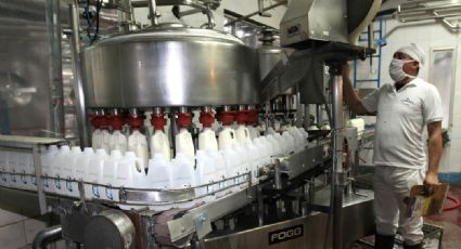 Urge avalar reforma que permitirá identificar lácteos reales de sustitutos