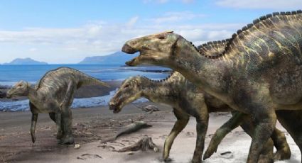 Descubren nueva especie de dinosaurio en Japón