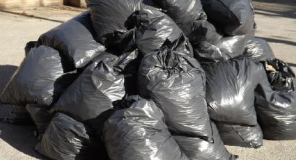 Empresas ahorrarían hasta cinco mil mdp por retirar bolsas de plástico