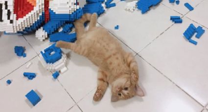 Gato destruye enorme escultura de lego (FOTOS)