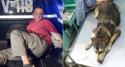 Detienen a hombre que abusó y ocasionó la muerte de perrita en Neza