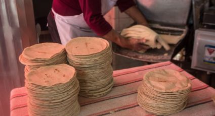Cofece advierte a productores de tortillas por posible colusión para elevar precio