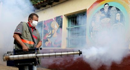 Aumentan casos de dengue en Paraguay