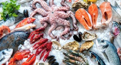 Garantizado abasto de productos del mar en Semana Santa: Comepesca