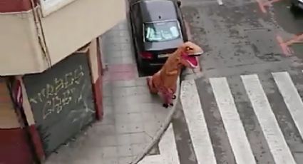 ¿Miedo al Covid-19? Hombre sale a la calle con disfraz de dinosaurio