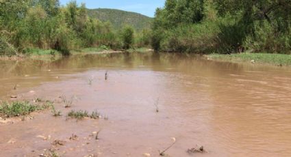 SCJN deja sin efecto extinción del fideicomiso Río Sonora