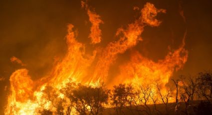 Afectan 77 incendios forestales al país