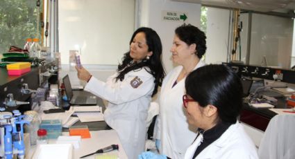 Investigadores del IPN buscan desarrollar vacuna contra Covid-19