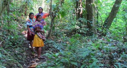 IMSS realiza acciones de atención y prevención de Covid-19 en comunidades de Selva Lacandona