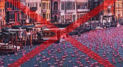 FALSO: Canal de Venecia luce repleto de flamencos rosados