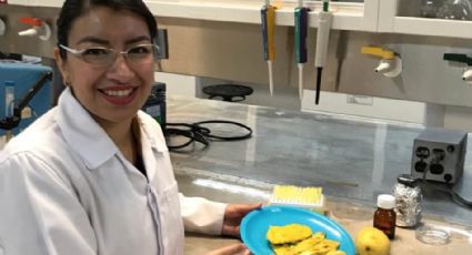 IPN trabaja con extracto de mango para acelerar cicatrización de heridas