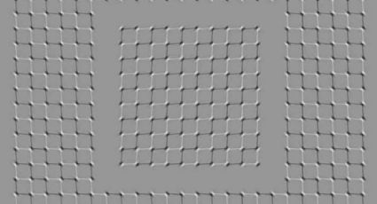 Enloquecen las redes por imagen con ilusión óptica