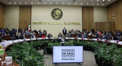 INE reconoce que por resolución del TEPJF no se tendrán dirigentes de Morena el 4 de octubre