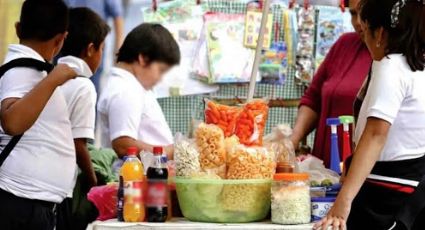 Formaliza PVEM iniciativa que prohíbe “comida chatarra” a menores de 15 años